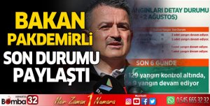 Orman yangınları detay durumu