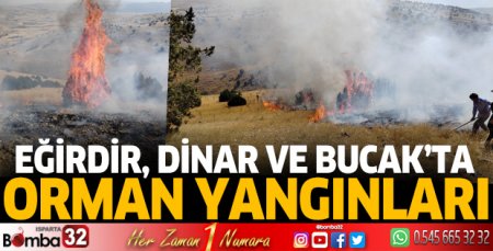 Orman yangınlarına anında müdahale ettiler