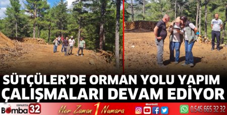 Orman yolu çalışmaları sürüyor