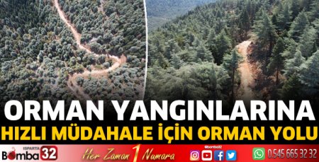 Orman yolu yapılıyor