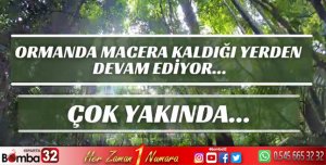 Ormanda macera kaldığı yerden devam ediyor