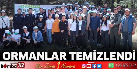 Ormanlar temizlendi