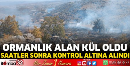 Ormanlık alan kül oldu