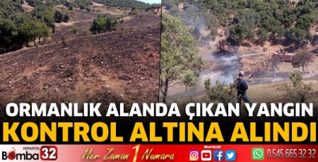 Ormanlık alanda çıkan yangın kontrol altına alındı
