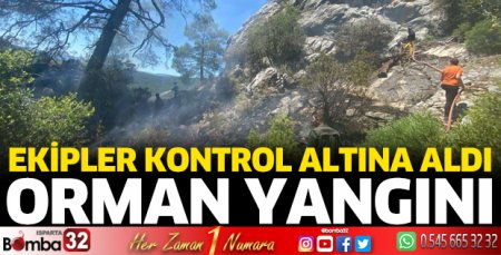 Ormanlık alanda yangın