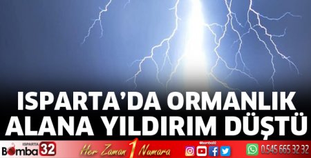 Ormanlık alanı yıldırım düştü