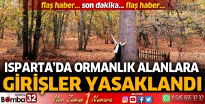 Ormanlık alanlara girişler yasaklandı