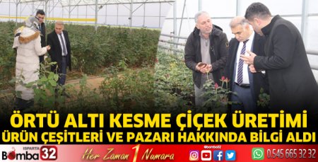 Örtü altı kesme çiçek üretimi hakkında bilgi aldı