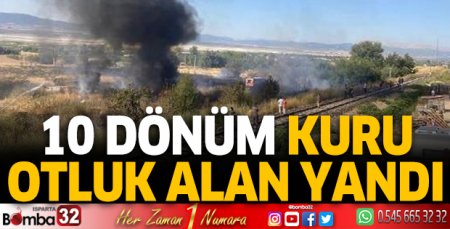 Otluk alan yangını