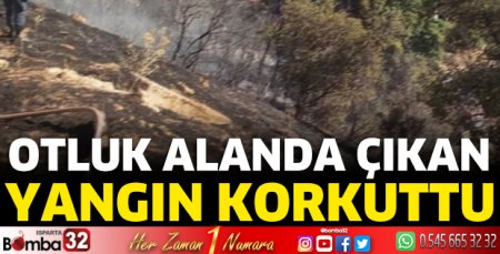 Otluk alanda çıkan yangın korkuttu