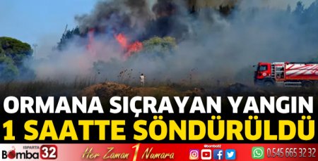 Otluk alanda çıkıp ormana sıçrayan yangın 1 saatte söndürüldü