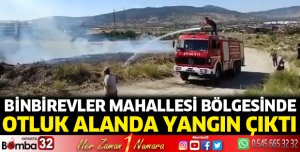 Otluk alanda yangın