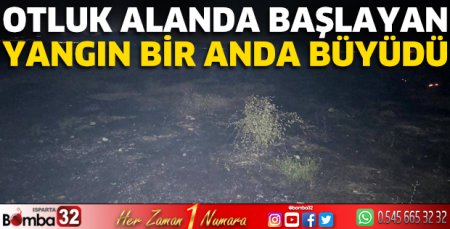 Otluk alanda yangın