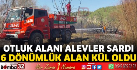 Otluk alanı alevler sardı 6 dönümlük alan kül oldu 
