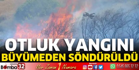 Otluk yangını büyümeden söndürüldü