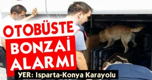 OTOBÜSTE BONZAİ ALARMI