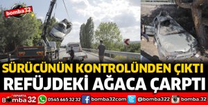 OTOMOBİL AĞACA ÇARPARAK DURABİLDİ