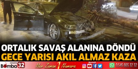 Otomobil ağaca çarptı 