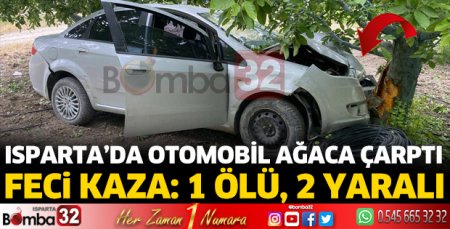 Otomobil ağaca çarptı: 1 ölü, 2 yaralı