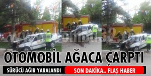 OTOMOBİL AĞACA ÇARPTI