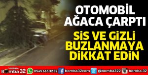 OTOMOBİL AĞACA ÇARPTI