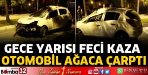 Otomobil ağaca çarptı