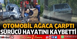 Otomobil ağaca çarptı