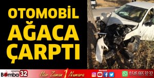 Otomobil ağaca çarptı