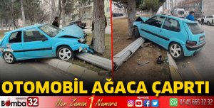Otomobil ağaca çarptı