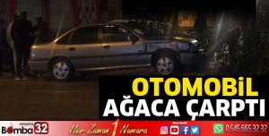 Otomobil ağaca çarptı