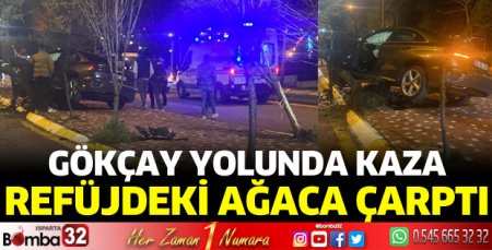 Otomobil ağaca çarptı
