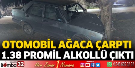 Otomobil ağaca çarptı