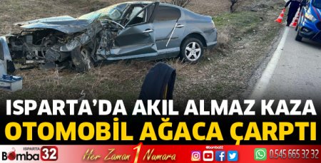Otomobil ağaca çarptı