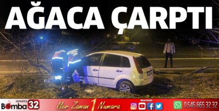 Otomobil ağaca çarptı