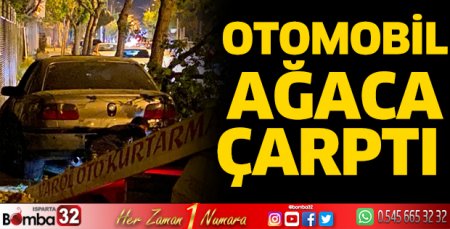 Otomobil ağaca çarptı