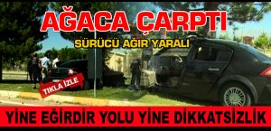 Otomobil ağaca çarptı, sürücü ağır yaralandı.
