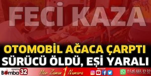 Otomobil ağaca çarptı sürücü öldü