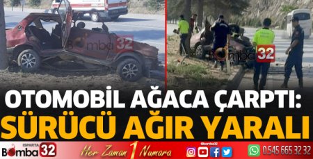 Otomobil ağaca çarptı 