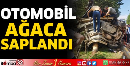 Otomobil ağaca saplandı  