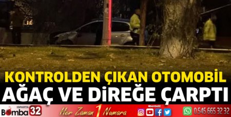 Otomobil ağaca ve direğe çarptı