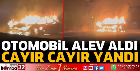 Otomobil alev aldı
