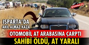 OTOMOBİL AT ARABASINA ÇARPTI