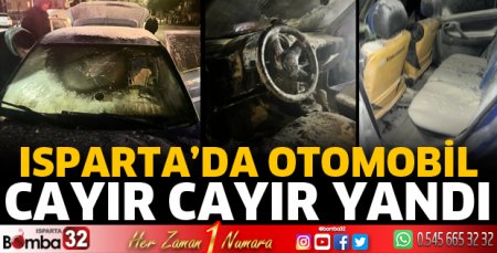 Otomobil cayır cayır yandı 