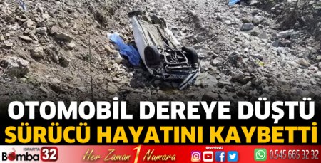 Otomobil dereye düştü, sürücü hayatını kaybetti