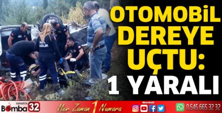 Otomobil dereye uçtu: 1 yaralı