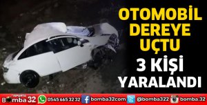 Otomobil dereye uçtu 3 yaralı