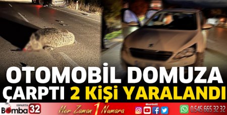 Otomobil domuza çarptı 2 kişi yaralandı 