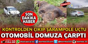 OTOMOBİL DOMUZA ÇARPTI