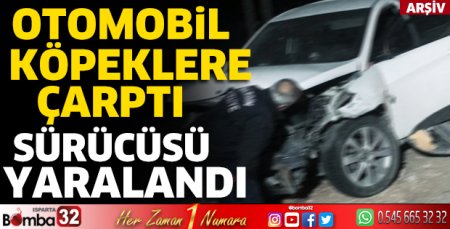 Otomobil köpeklere çarptı sürücüsü yaralandı