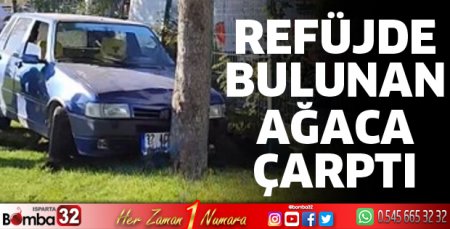 Otomobil refüje çıktı